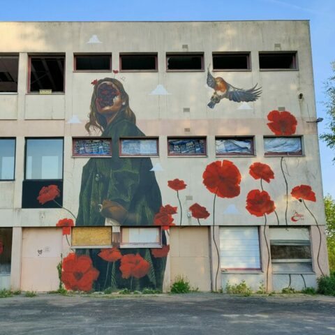 Naga - 04.2022 - 8.5x8m au collège fou fou fou ❌ Naga - 04.2022 - 8.5x8m au collège fou fou fou ❌