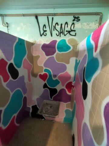 Le Visage - 05.2025 - 3x2m au collège fou fou fou ✅ Le Visage - 05.2025 - 3x2m au collège fou fou fou ✅